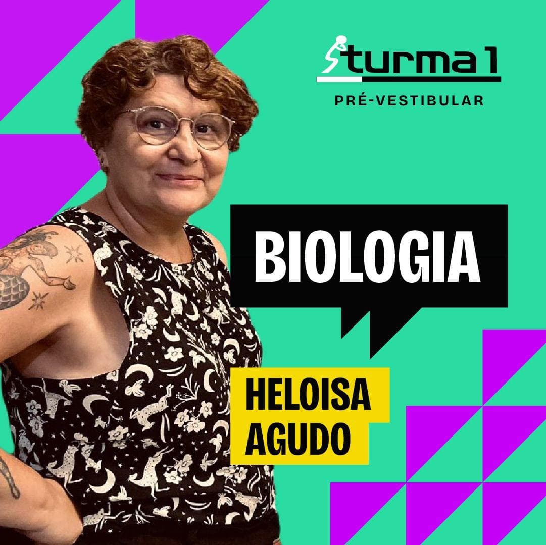 Heloisa Agudo
